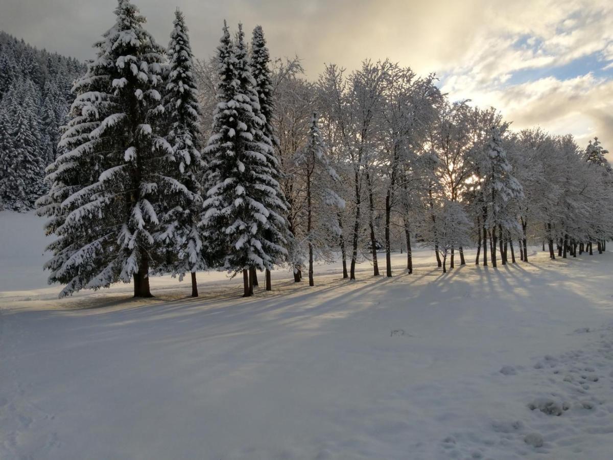Апартаменти Alpenlandhof Бад-Кляйнкірхгайм Екстер'єр фото